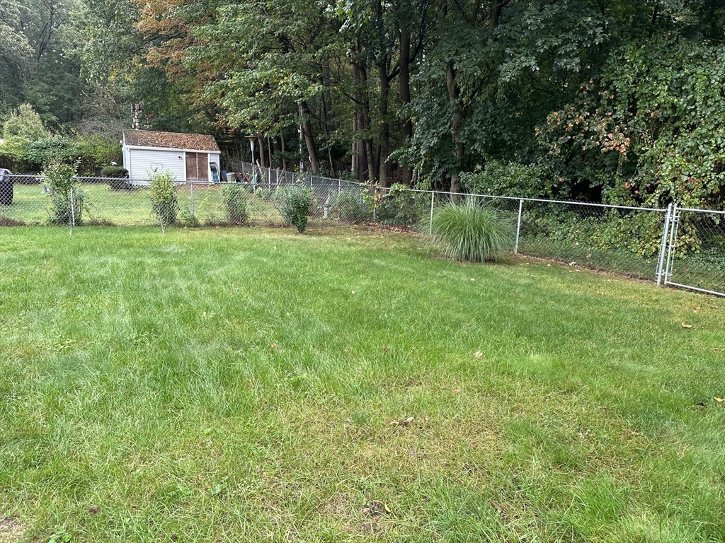 37 Bretton Road Springfield, MA 01119 - Photo 3 of 36 a backyard of a house with plants and large trees