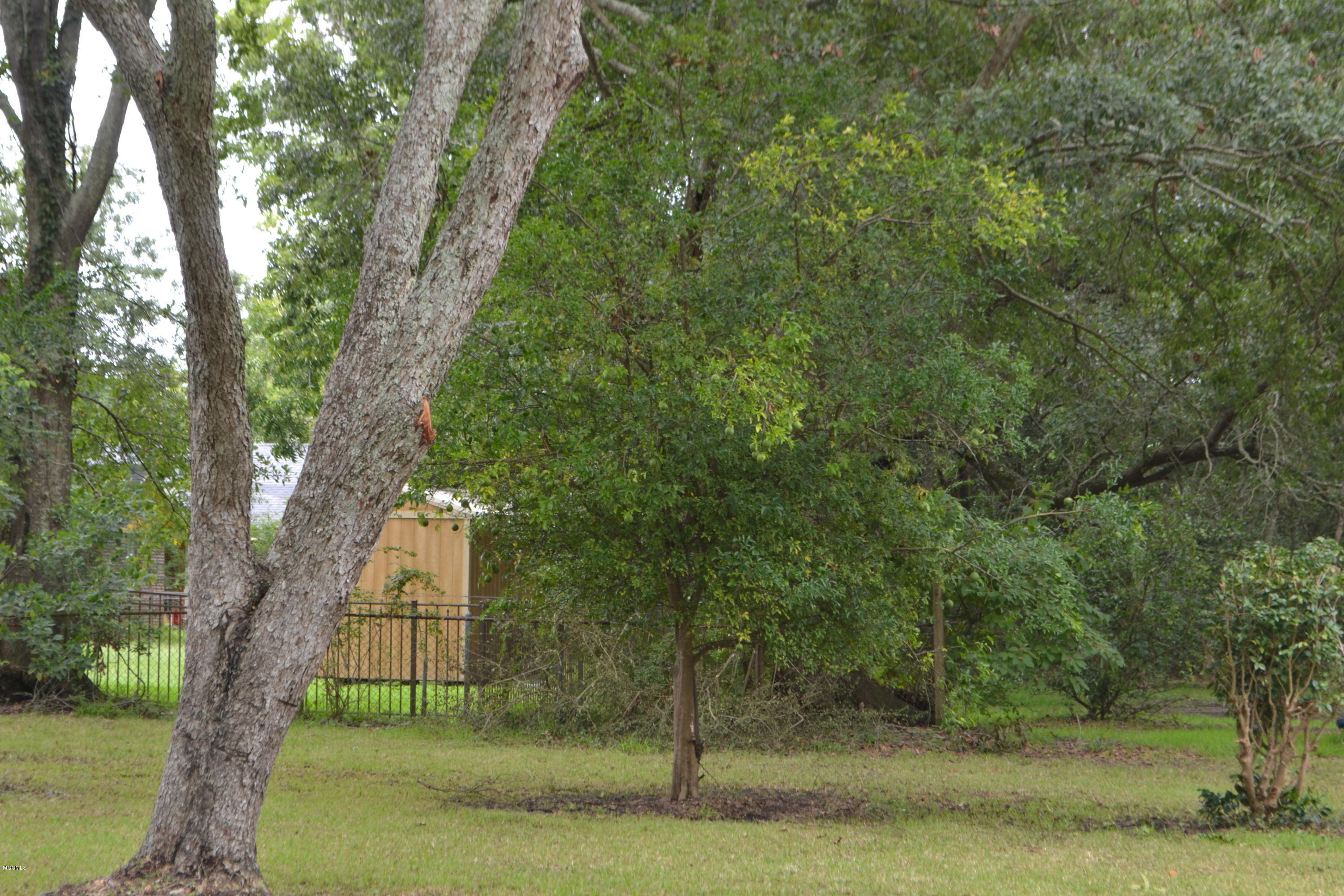 5330 James Street Moss Point, MS 39563 - Photo 5 of 26 Lemon Tree