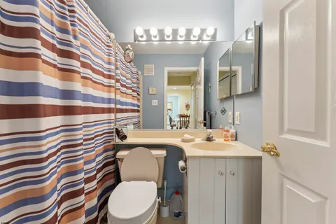 a bathroom with a sink a toilet a mirror and shower curtain