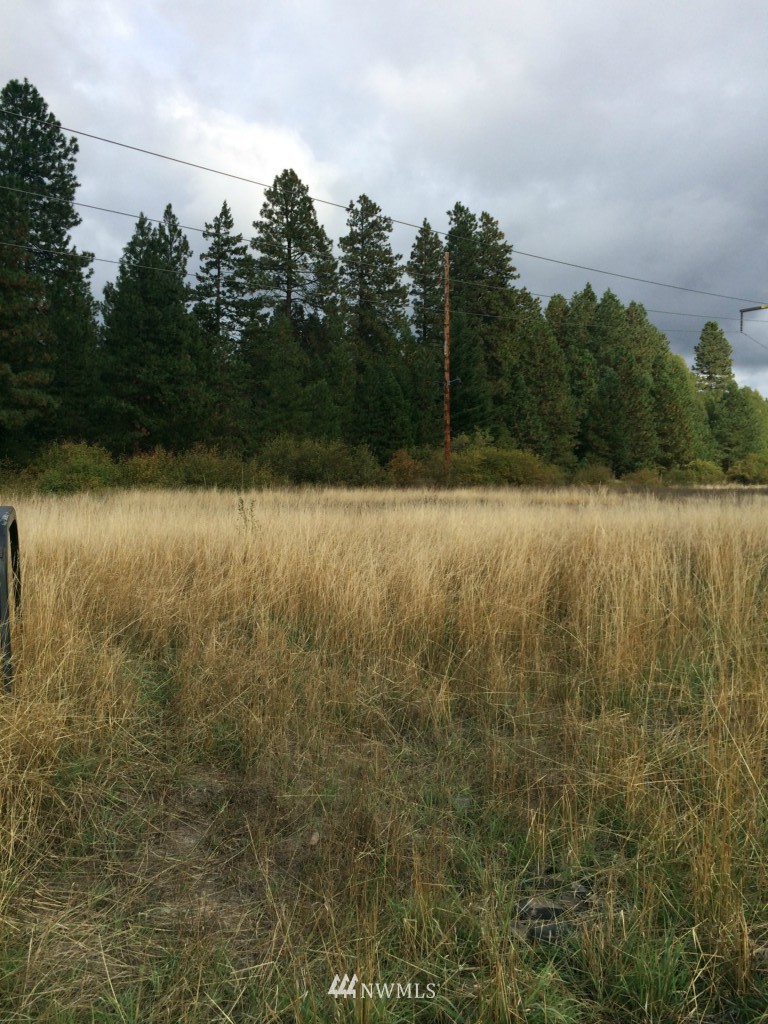 1 Little Creek Road Cle Elum, WA 98922 - Photo 1 of 5 Gallery Image 1