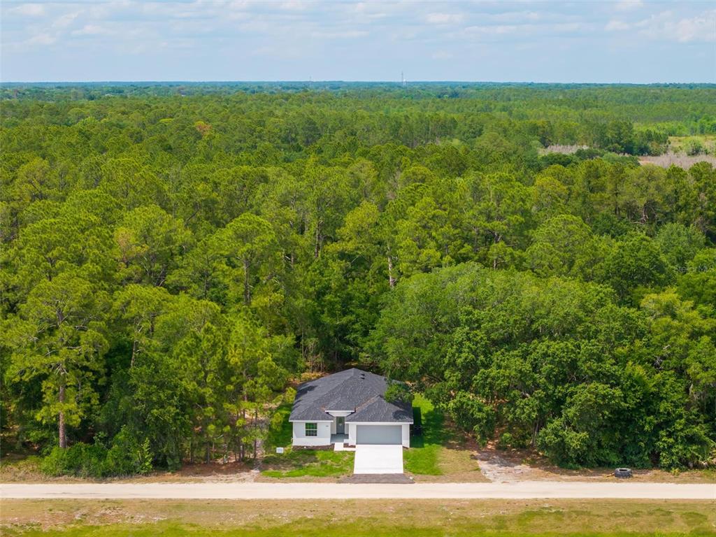 2132 Pine Meadows Golf Course Road Eustis, FL 32726 - Photo 52 of 62