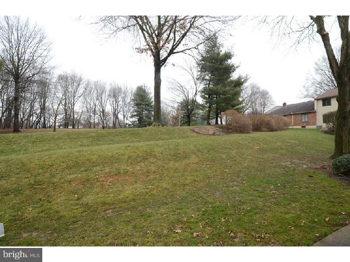 402 Danor Court Chesterbrook, PA 19087 - Photo 12 of 25 Back Yard