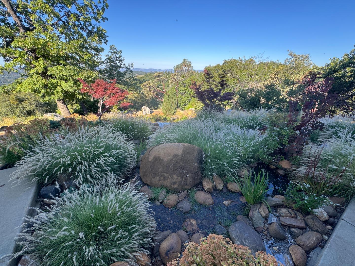 2251 Folendorf Road Murphys, CA 95247 - Photo 18 of 39 a view of a dry yard with large trees