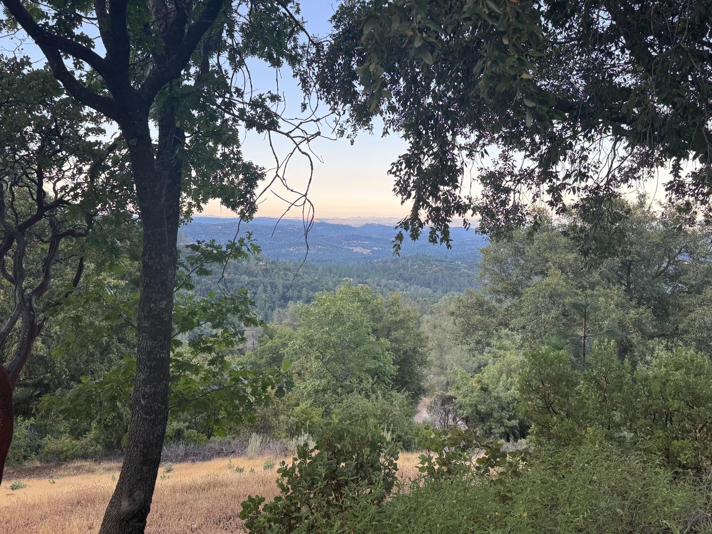 2251 Folendorf Road Murphys, CA 95247 - Photo 20 of 39 a view of a forest with trees in the background