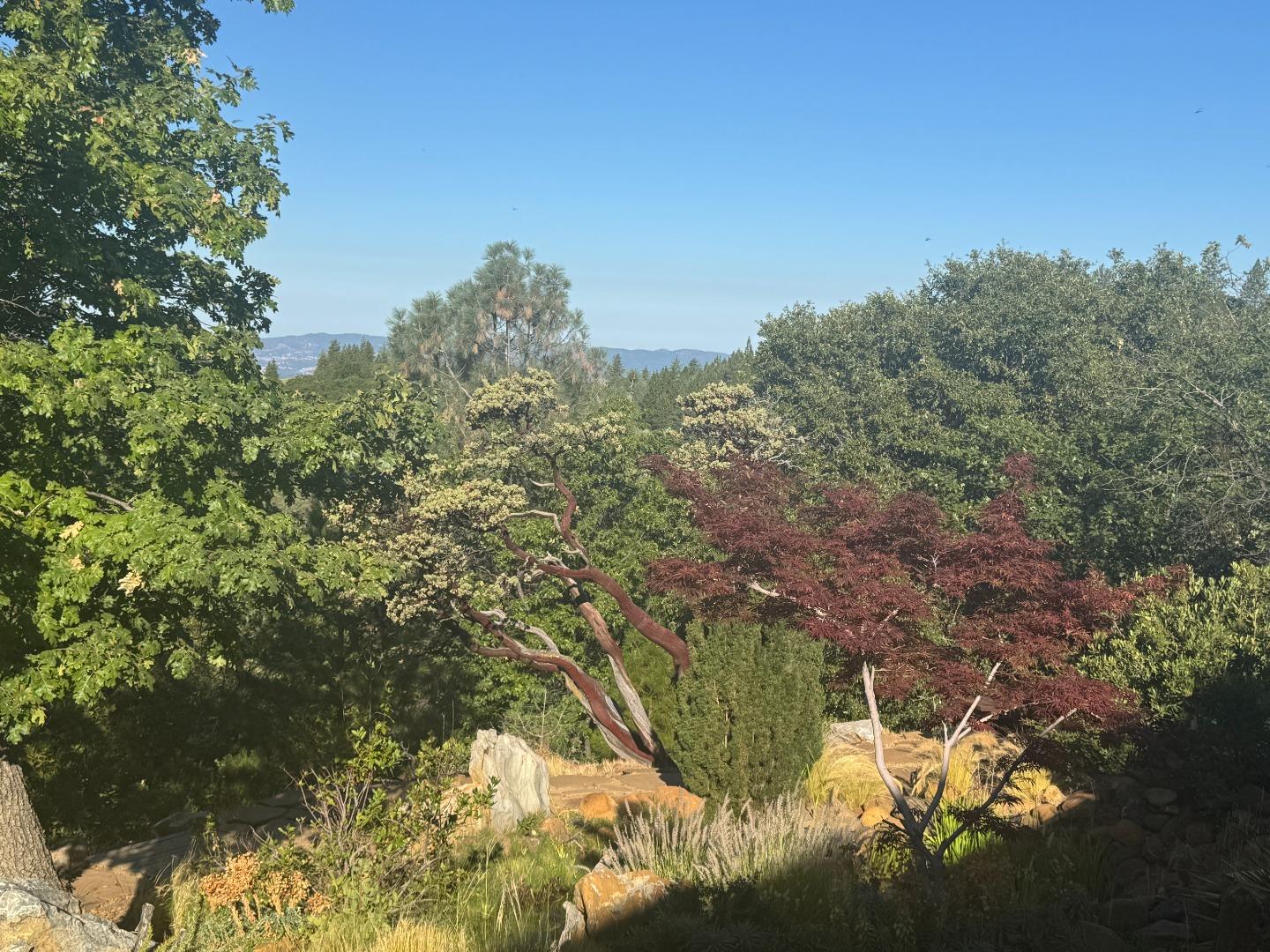 2251 Folendorf Road Murphys, CA 95247 - Photo 21 of 39 a view of a yard