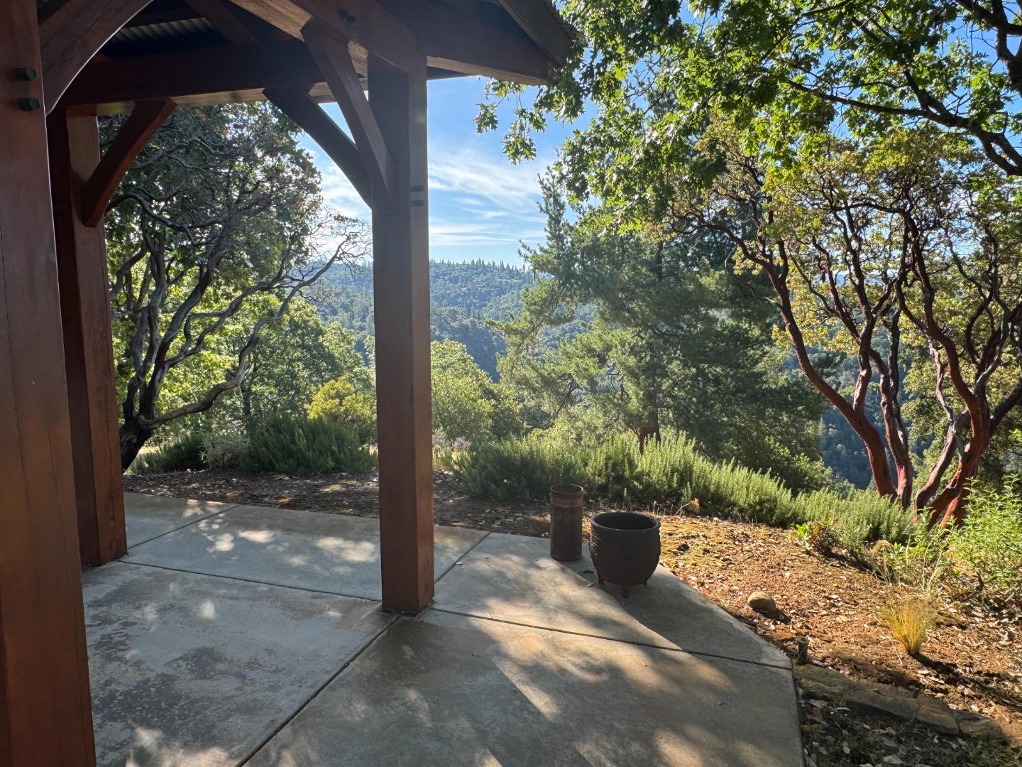 2251 Folendorf Road Murphys, CA 95247 - Photo 23 of 39 a view of a yard with plants and a pathway