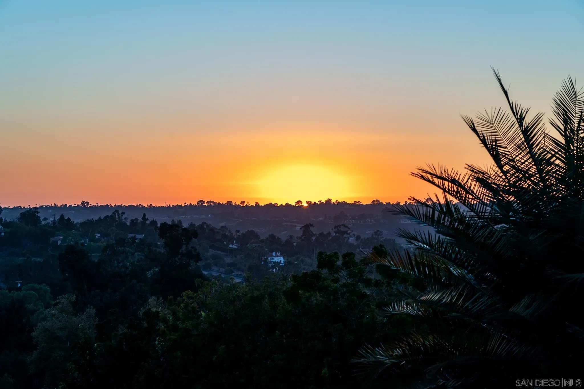 18245 Paseo Victoria Rancho Santa Fe, CA 92067 - Photo 38 of 50 a view of a dry field