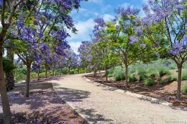 a front view of a house with a yard and a garage