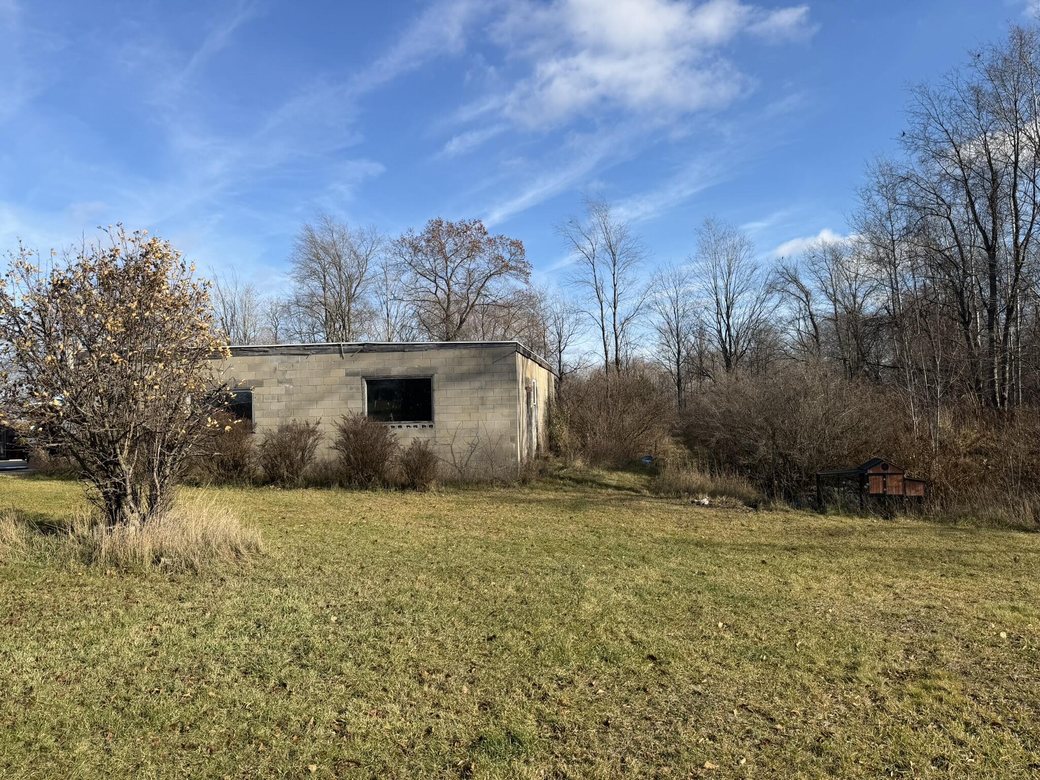 2233 East Marrison Road Custer, MI 49405 - Photo 20 of 29 west side yard
