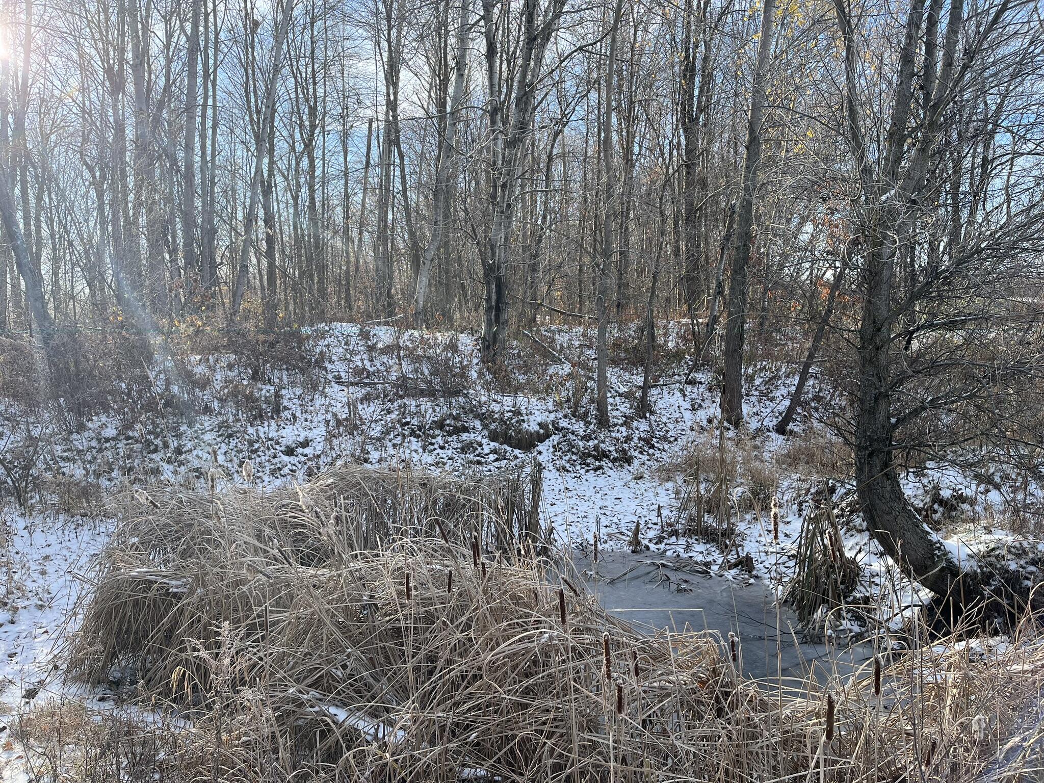 2233 East Marrison Road Custer, MI 49405 - Photo 21 of 29 pond