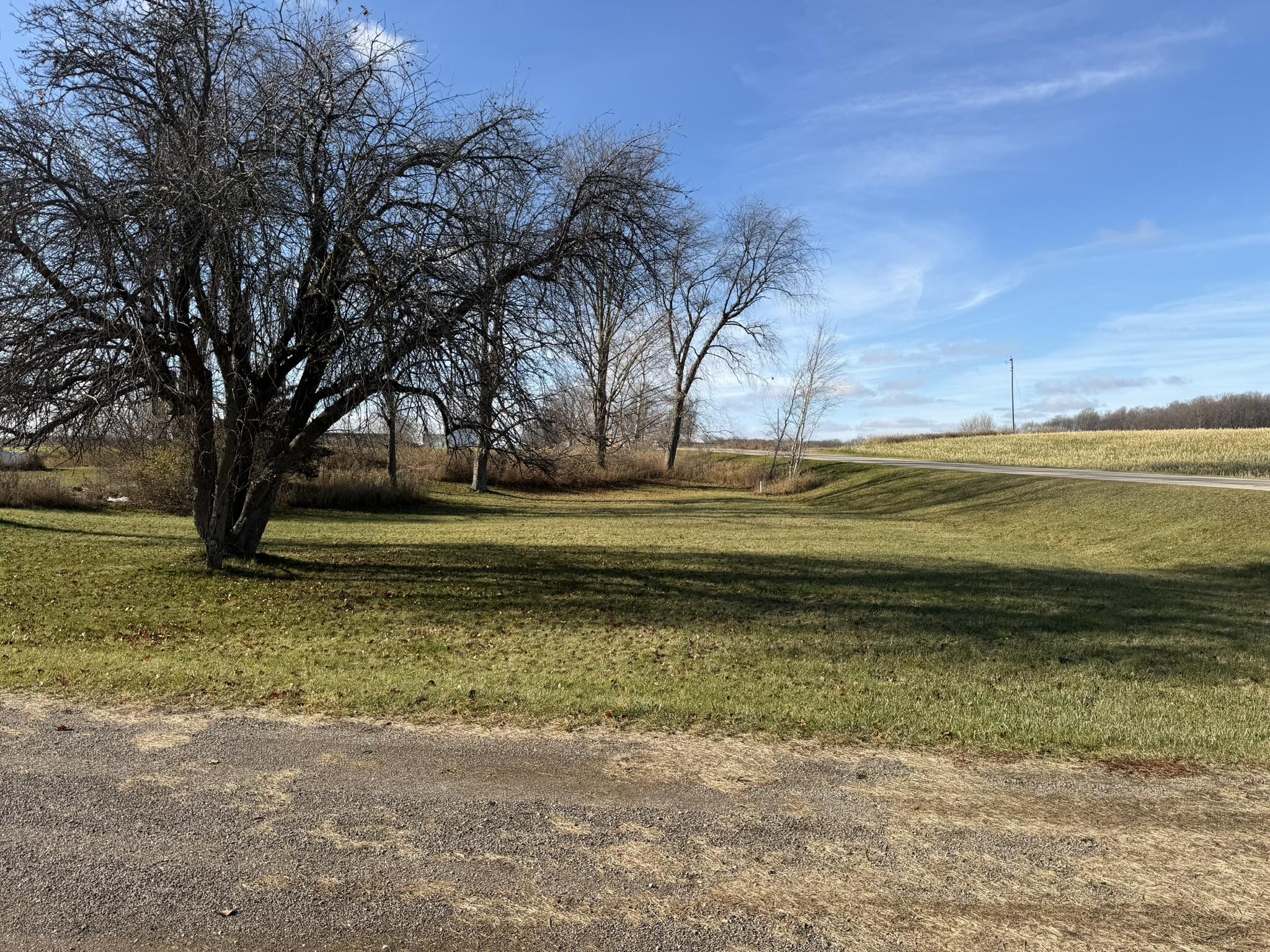 2233 East Marrison Road Custer, MI 49405 - Photo 25 of 29 west front yard