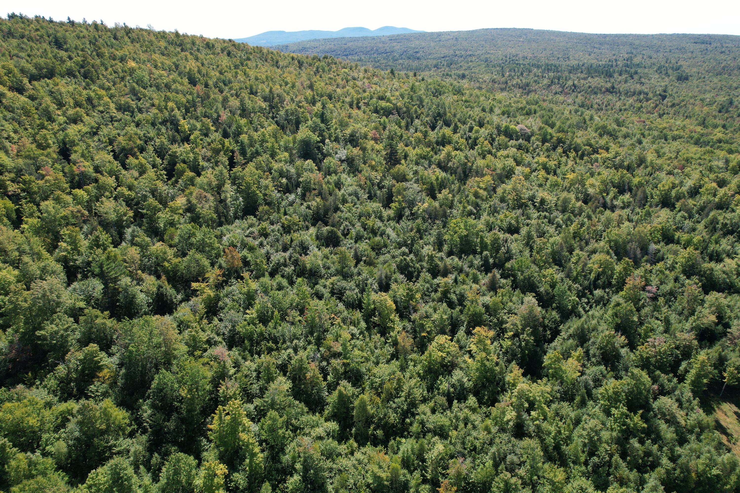 8 High Ground Road Kingfield, ME 04947 - Photo 11 of 17 DJI_0235