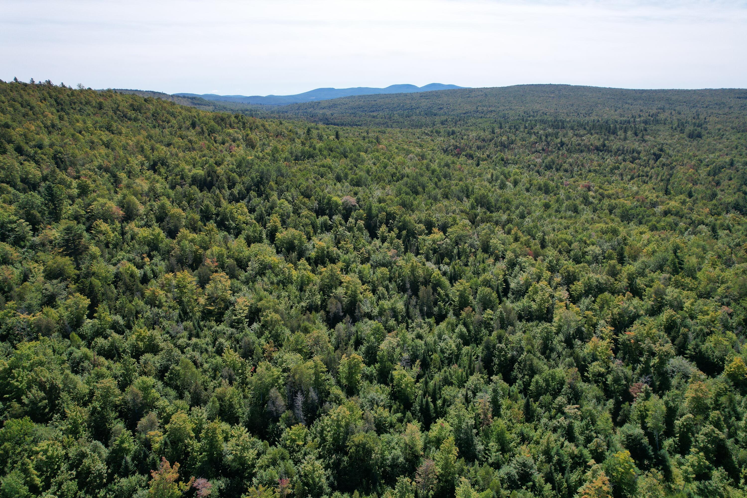 8 High Ground Road Kingfield, ME 04947 - Photo 13 of 17 DJI_0238