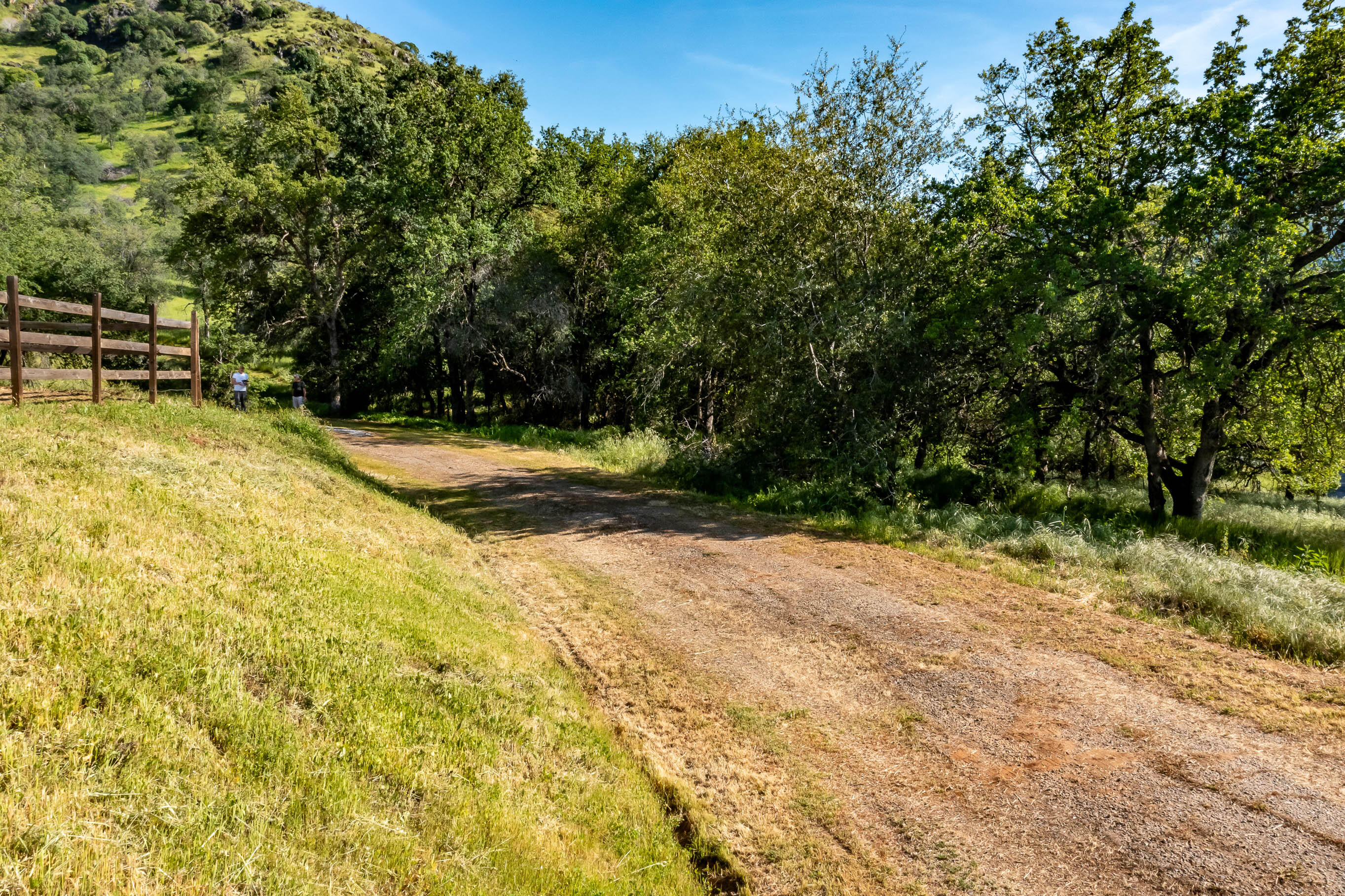 41006 Blossom Drive Three Rivers, CA 93271 - Photo 5 of 27 -