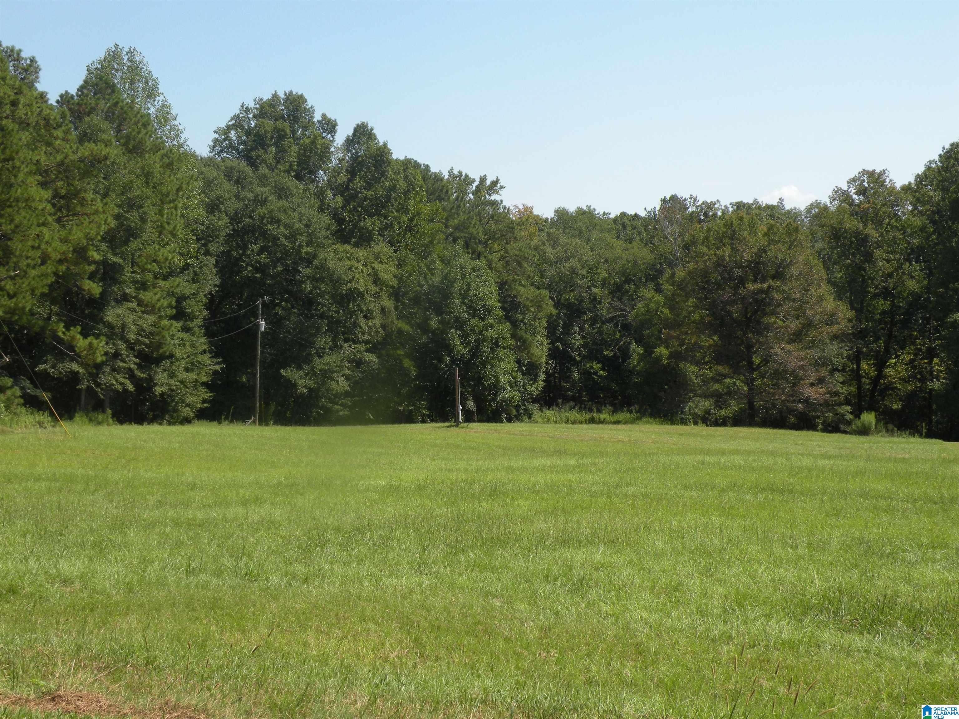 336 Blue Bird Lane Alpine, AL 35014 - Photo 32 of 32