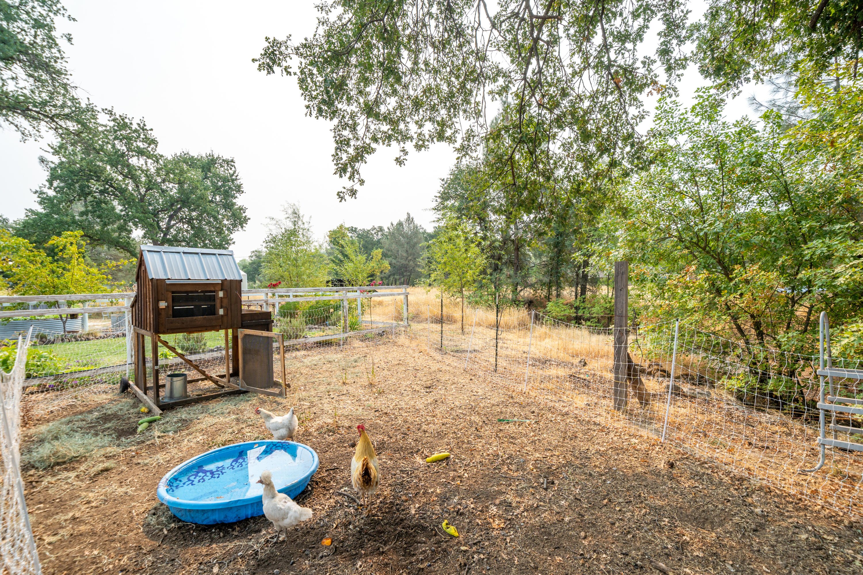 10953 Oak Run Road Oak Run, CA 96069 - Photo 62 of 79 10953 Oak Run Rd-43
