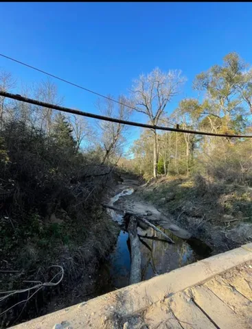 a view of a yard with trees