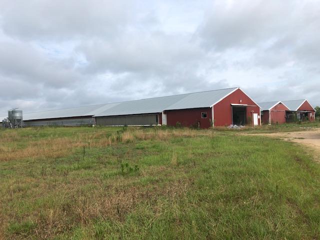 0 Co Road Ozark, AL 36360 - Photo 1 of 1