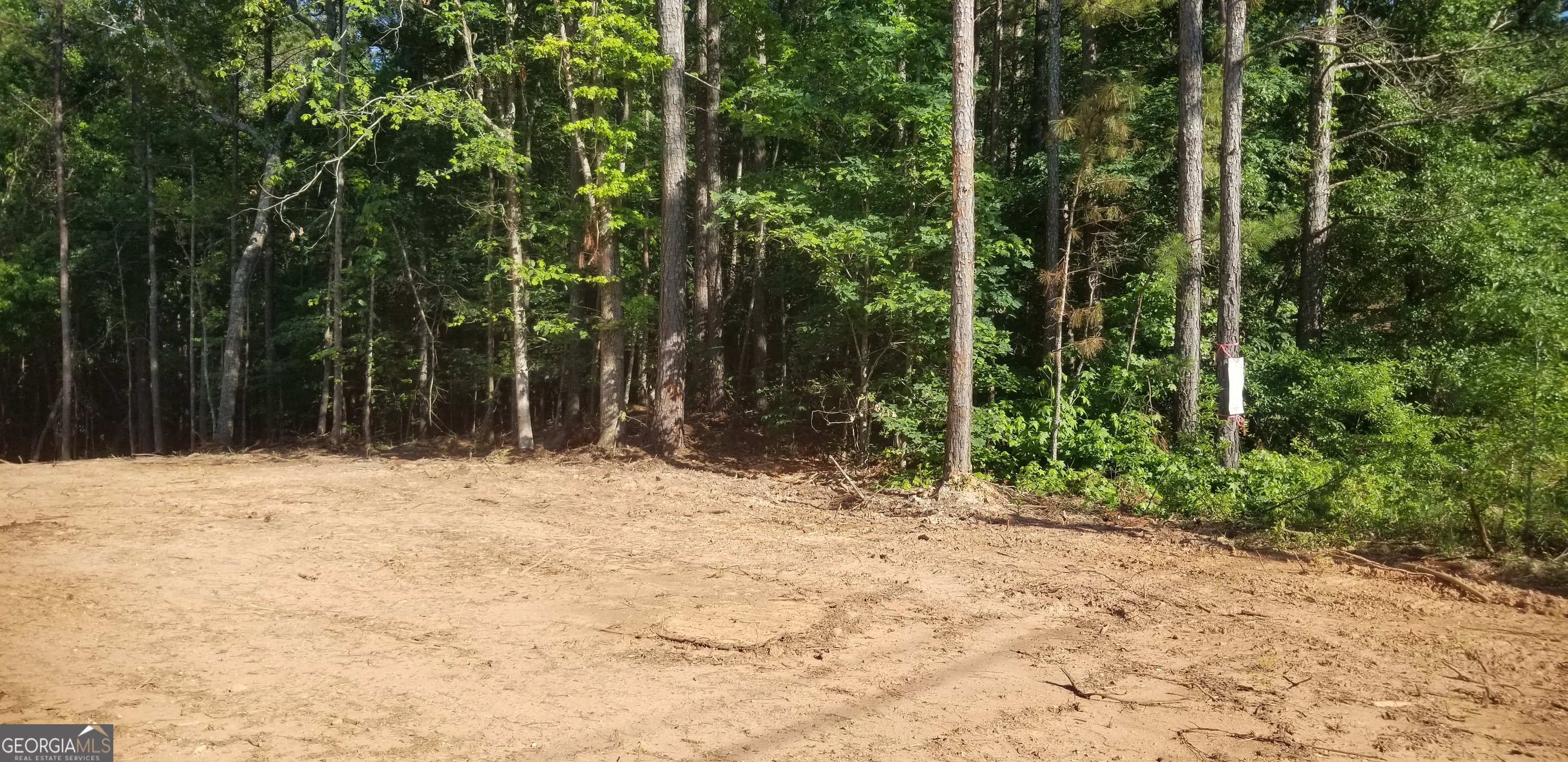 108 High Ridge Trail Jackson, GA 30233 - Photo 1 of 1 a view of a backyard of the house