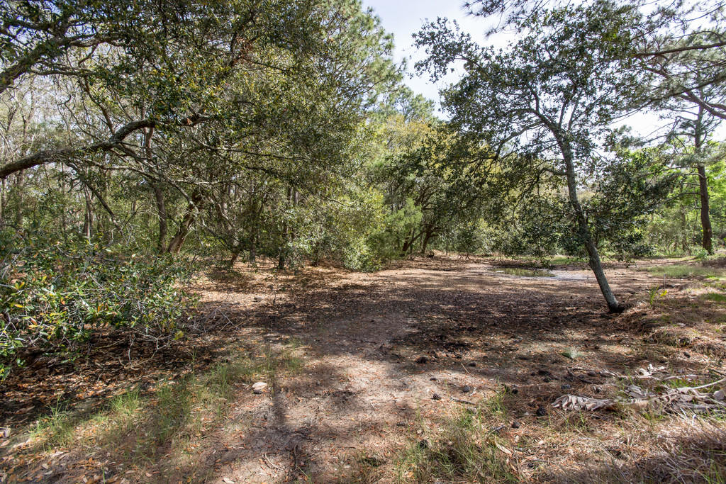 652 Schooner Road Charleston, SC 29412 - Photo 37 of 37 ck1803292-1039