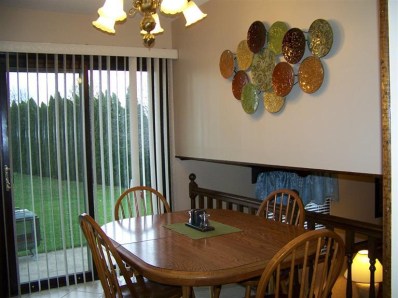 5046 89th Place Crown Point, IN 46307 - Photo 9 of 10 a dining room with furniture and window