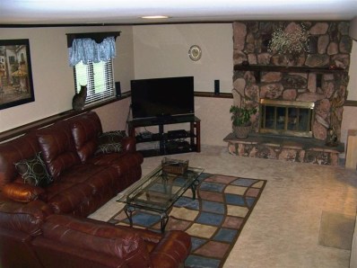 5046 89th Place Crown Point, IN 46307 - Photo 10 of 10 a living room with furniture a flat screen tv and a fireplace