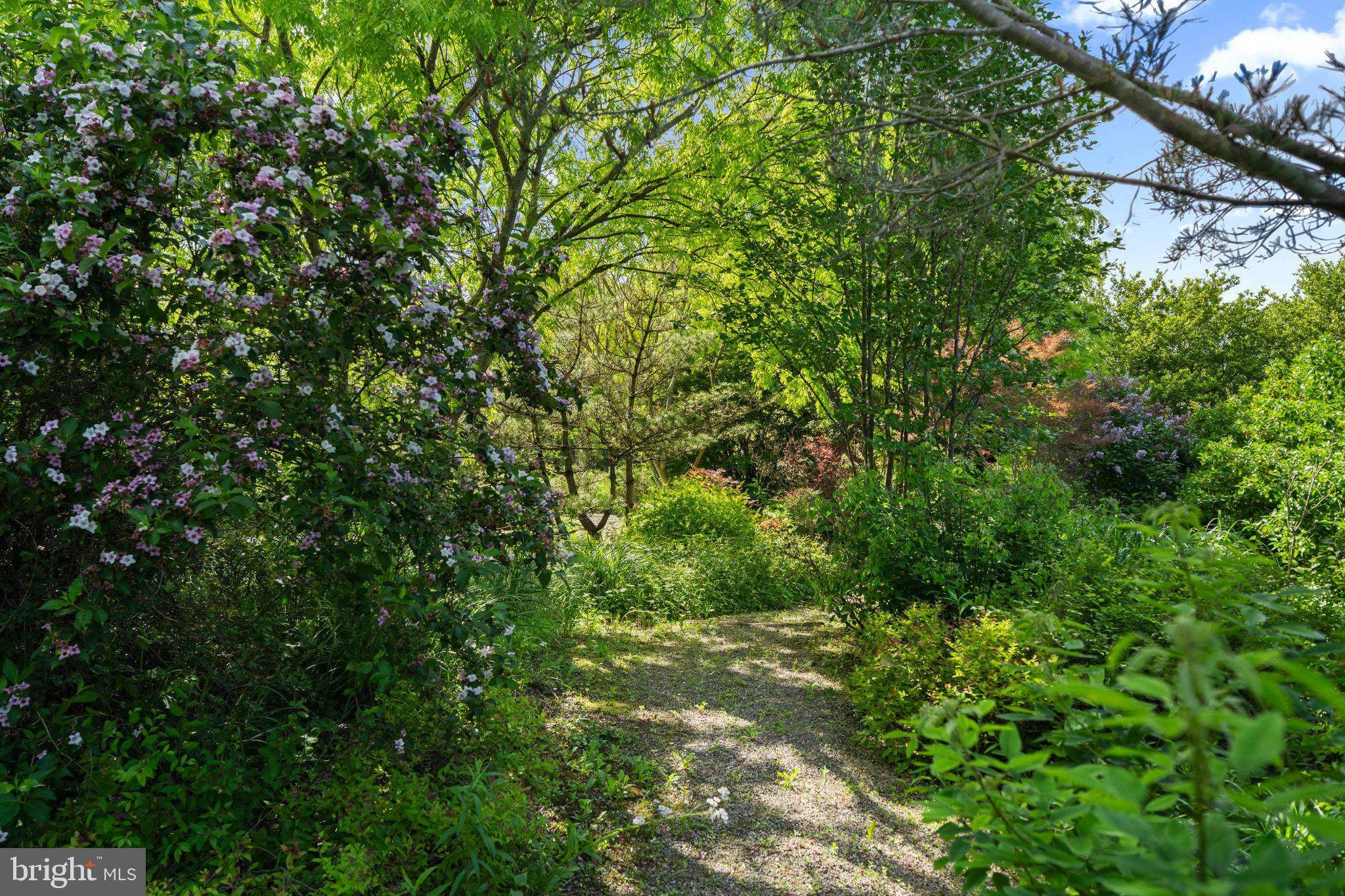 6764 Paxson Road New Hope, PA 18938 - Photo 109 of 116 Gallery Image 109