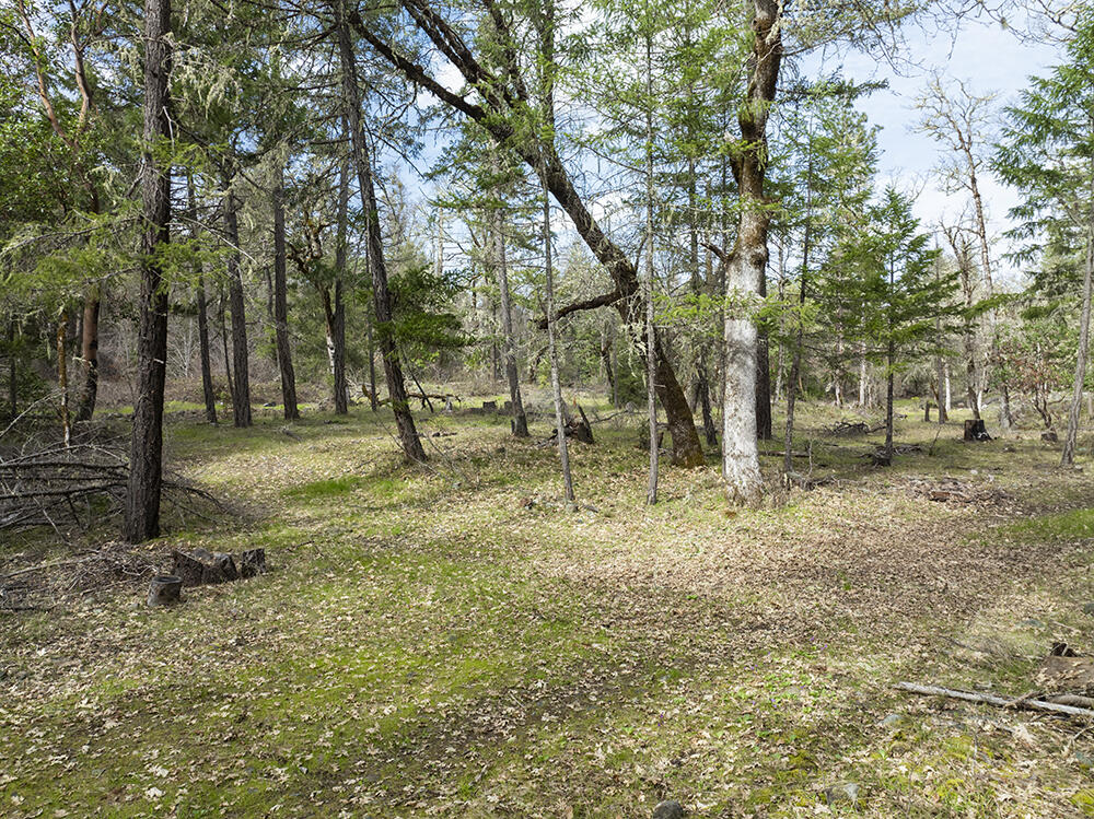 15150 Water Gap Road Williams, OR 97544 - Photo 26 of 53 32