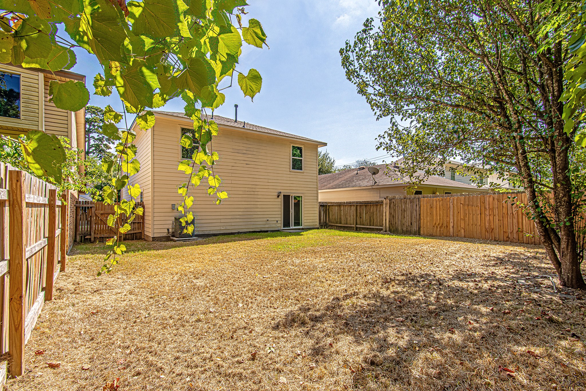 22815 Red Leo Lane Spring, TX 77389 - Photo 15 of 15 Gallery Image 15