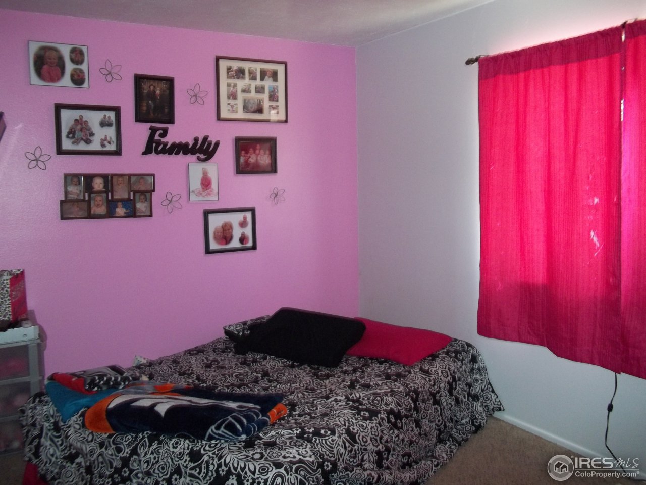 2937 West 19th St Road Greeley, CO 80634 - Photo 7 of 13 Gallery Image 7