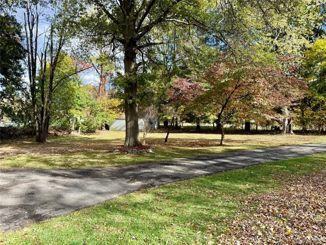 a view of yard with trees