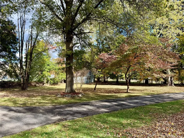 a view of a yard with a tree