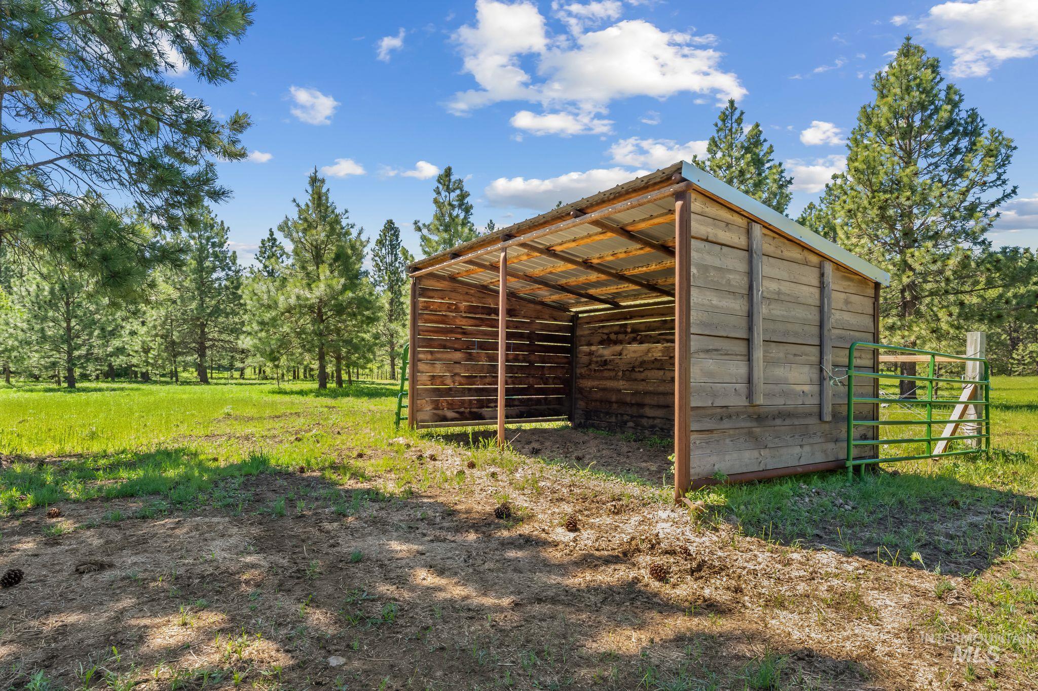 507 Bearlea Road Anatone, WA 99401 - Photo 29 of 47 Wood-sided shelter with a metal roof and open-air design, featuring a green metal gate and surrounded by mature pine trees and a grassy field