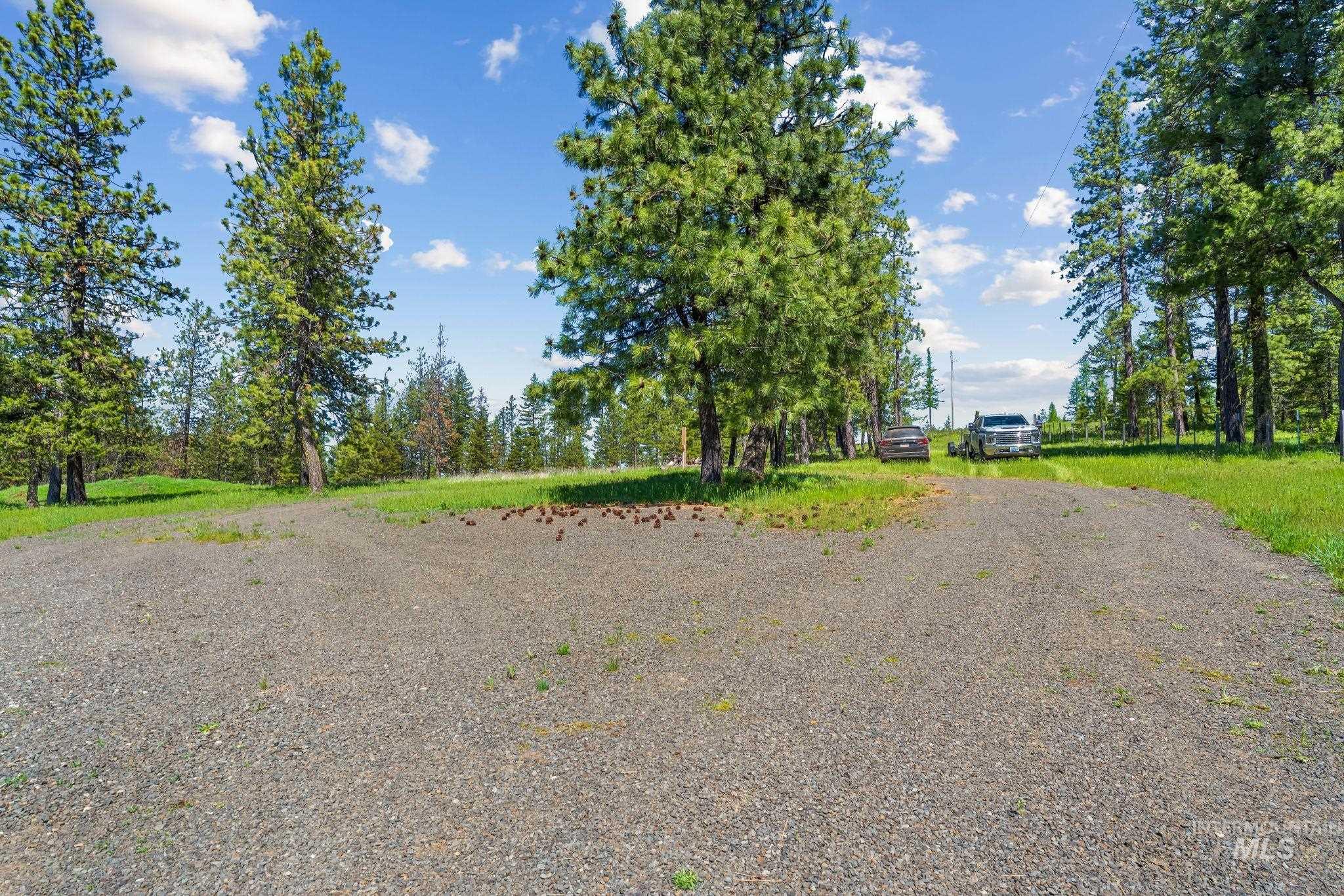 507 Bearlea Road Anatone, WA 99401 - Photo 31 of 47 Gravel drive with surrounding mature trees and expansive grass areas