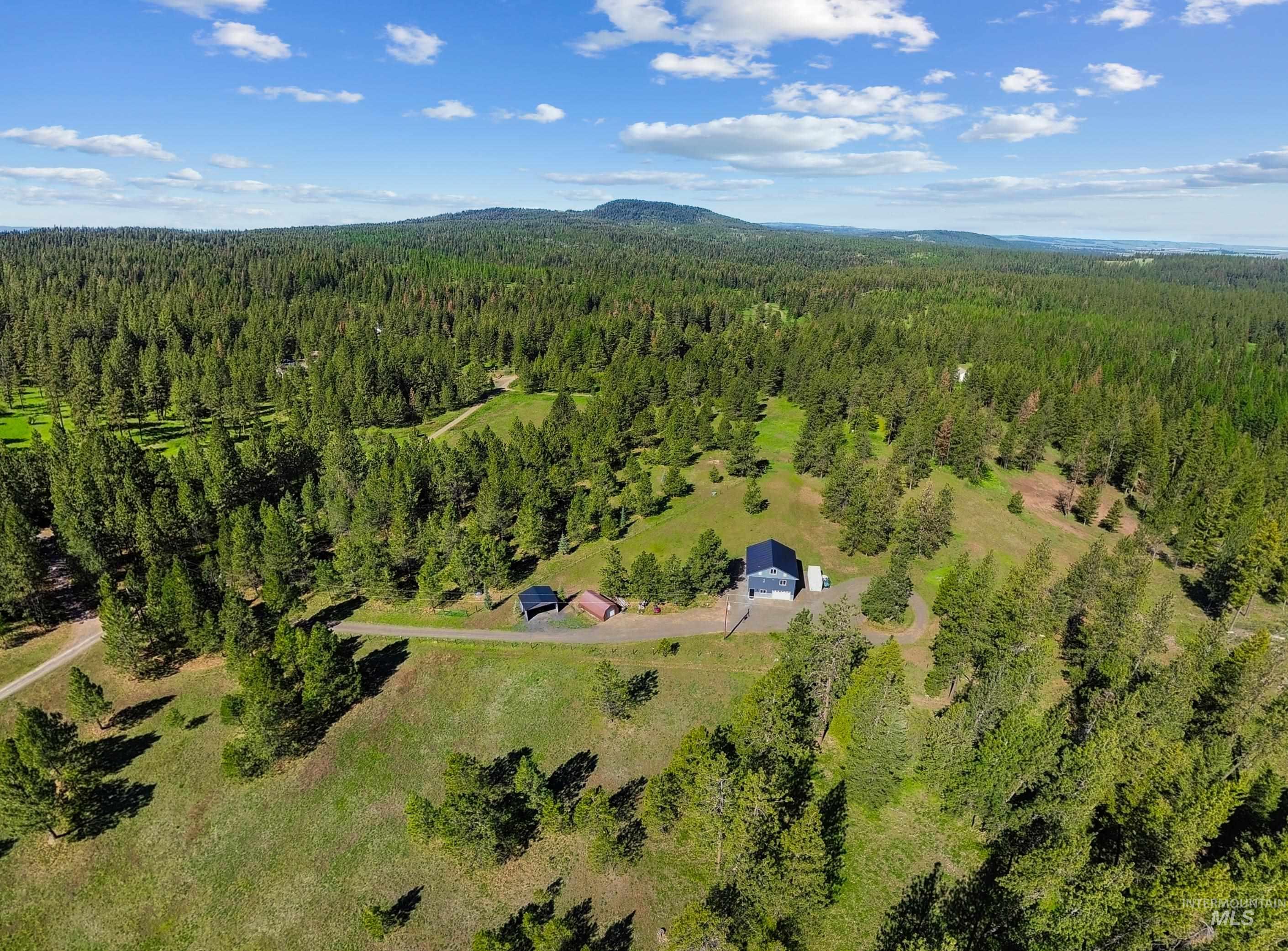 507 Bearlea Road Anatone, WA 99401 - Photo 36 of 47 Expansive forested acreage featuring a dark-hued residence with a light-colored roof, a detached two-car garage, and two additional outbuildings