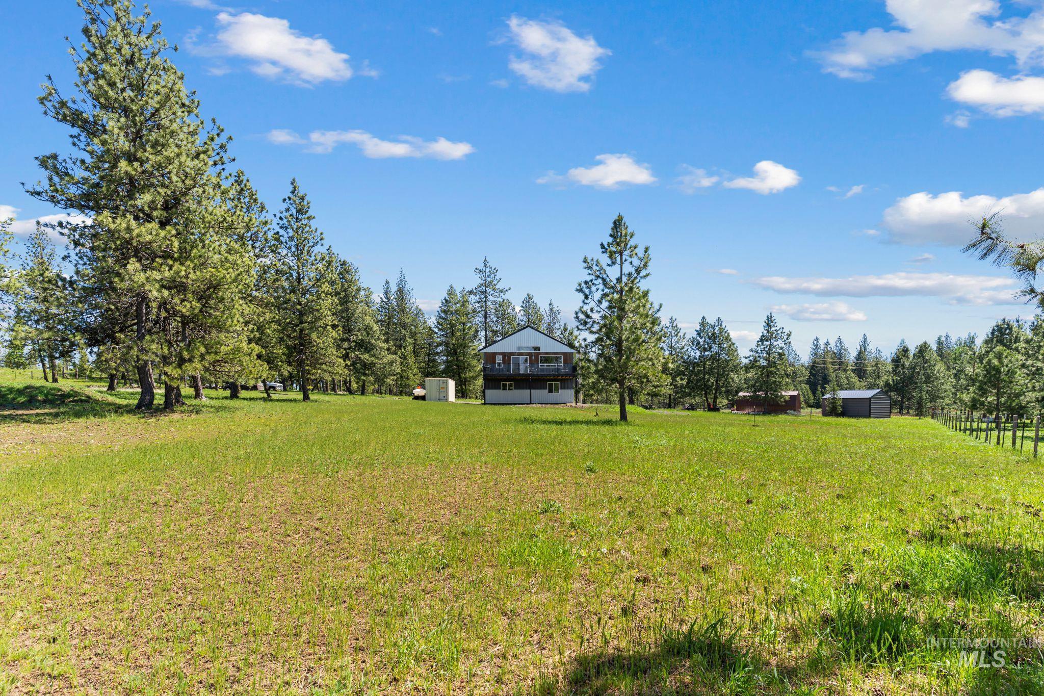 507 Bearlea Road Anatone, WA 99401 - Photo 42 of 47 Expansive green lawn with mature pine trees framing a two-story residence