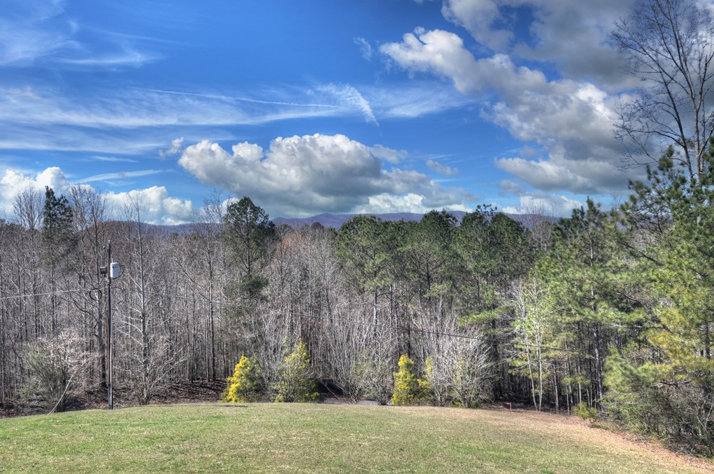 229 A Crossroads Church Road Ellijay, GA 30540 - Photo 51 of 71