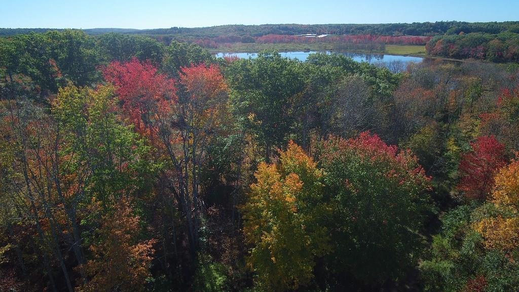 1166 Middle Road Warren, ME 04864 - Photo 10 of 35 White Oak Pond through the colorful...