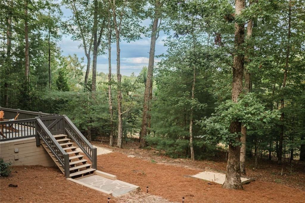 140 Black Oaks Road Cherry Log, GA 30522 - Photo 48 of 50