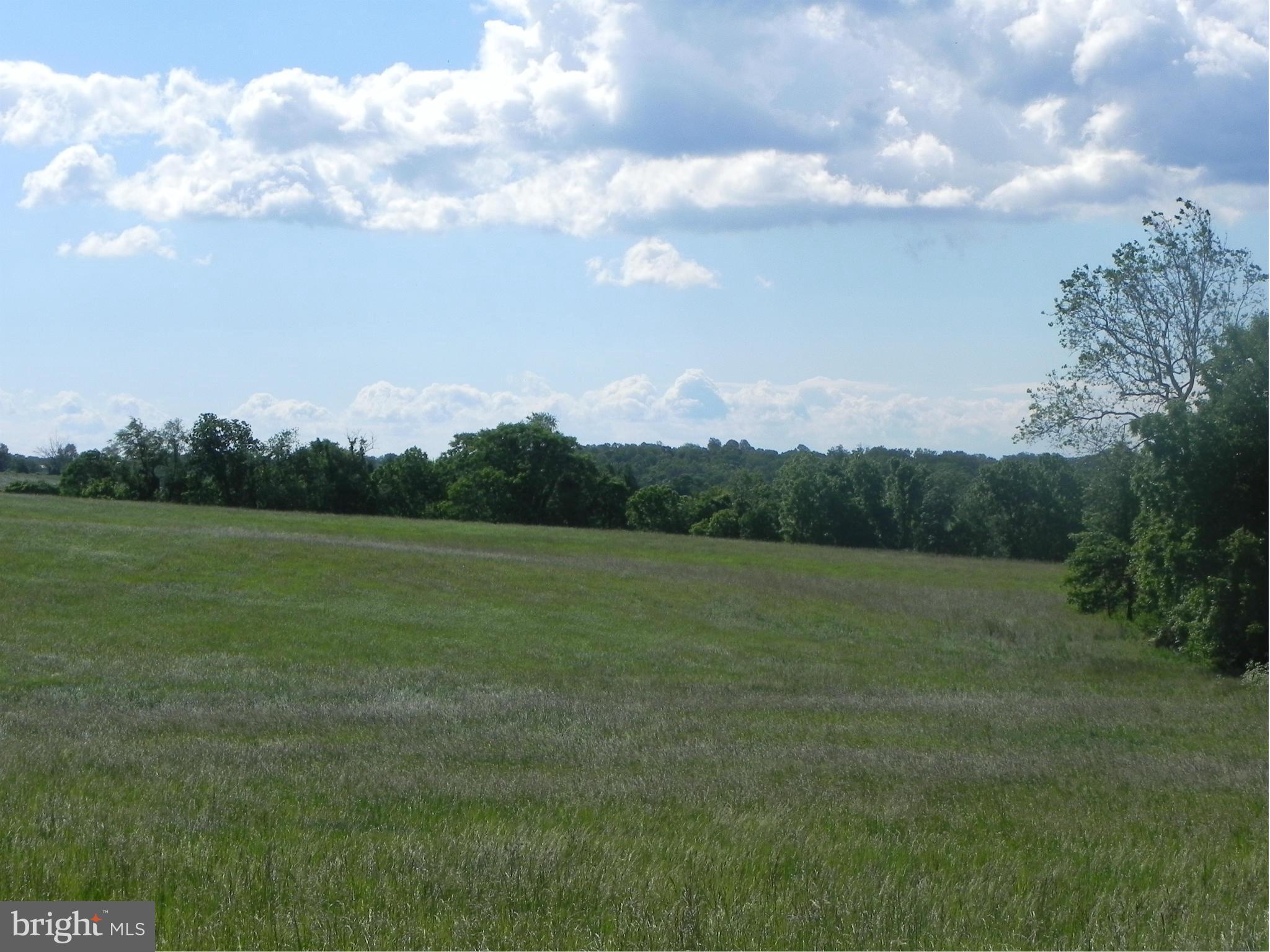 17010 Barnesville Road Dickerson, MD 20842 - Photo 8 of 8 View