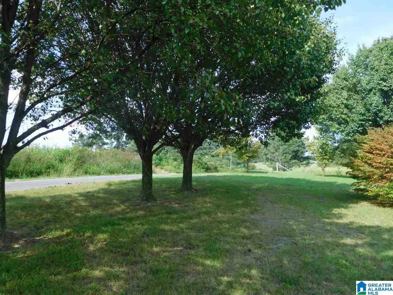 2390 Roswell Creek Road Blountsville, AL 35031 - Photo 16 of 18