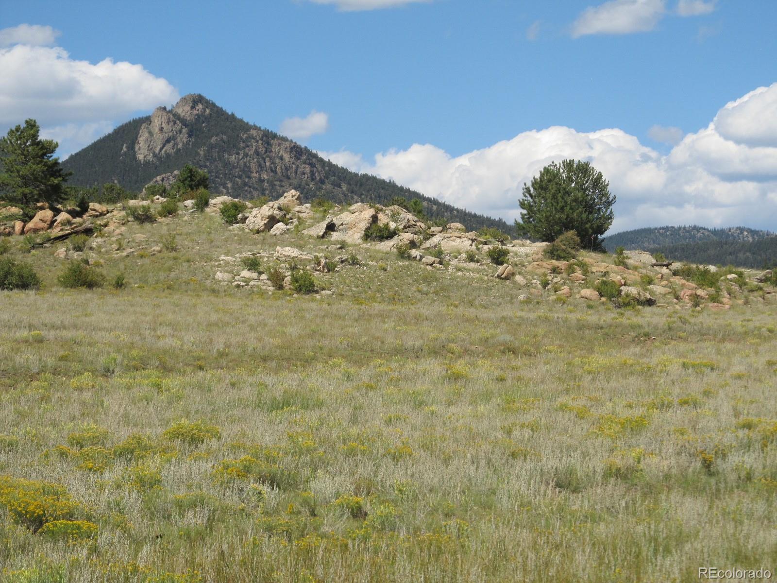 2219 Montezuma Road Lake George, CO 80827 - Photo 1 of 7