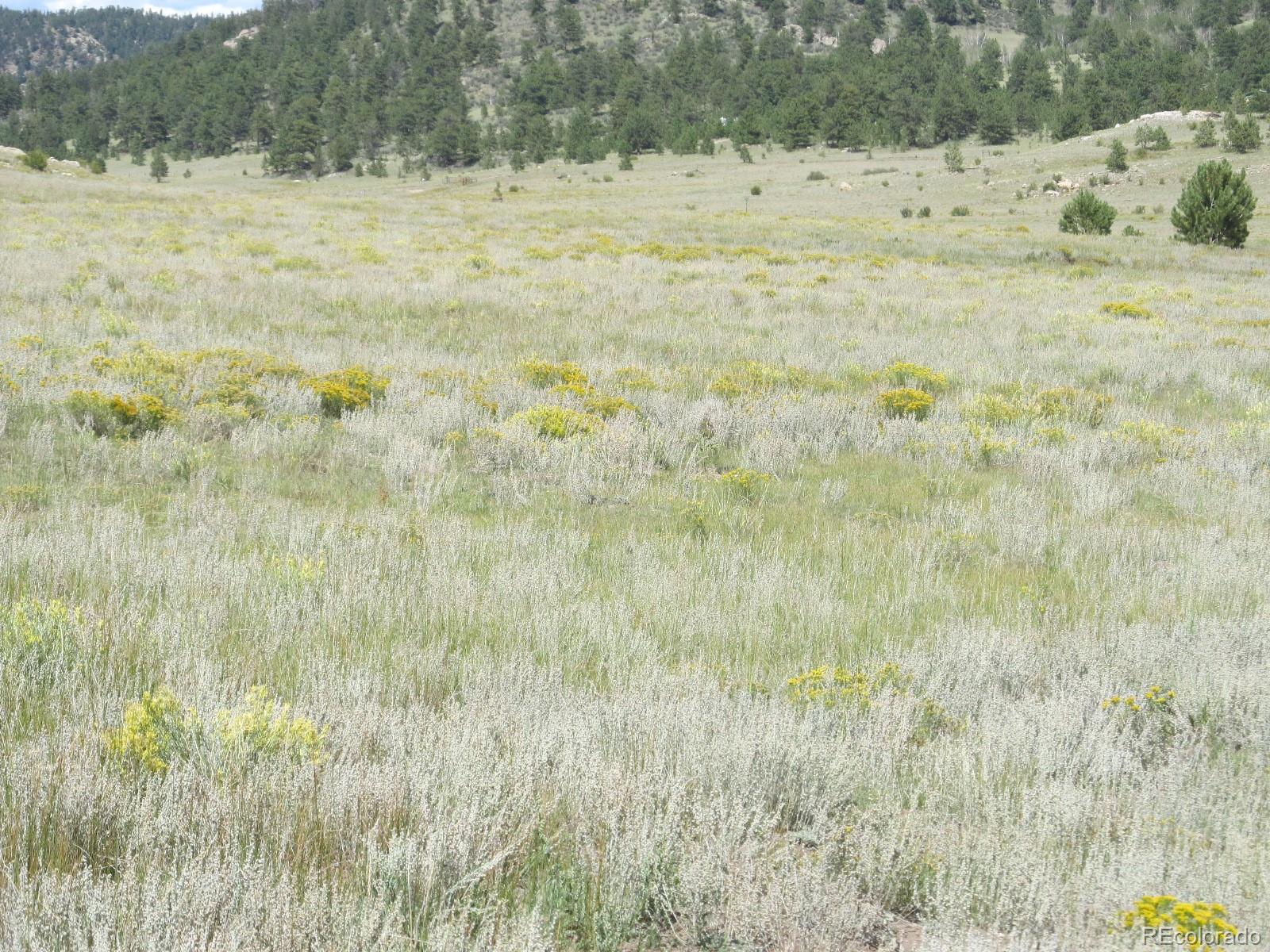 2219 Montezuma Road Lake George, CO 80827 - Photo 3 of 7