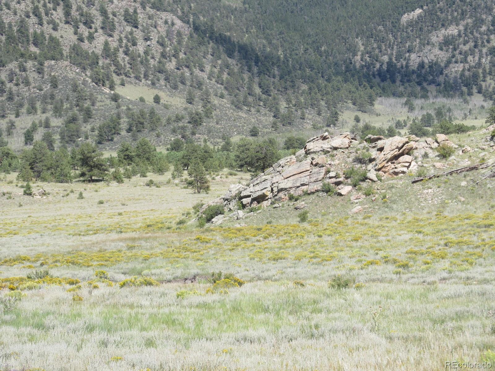 2219 Montezuma Road Lake George, CO 80827 - Photo 4 of 7