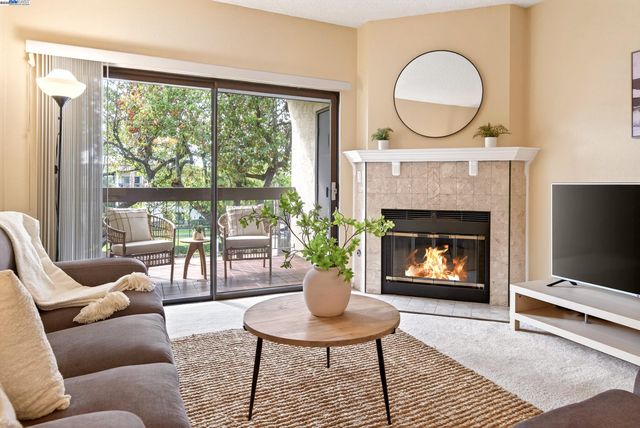 a living room with furniture a window and a fireplace