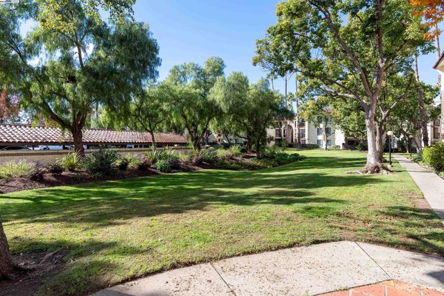 a view of a park with large trees