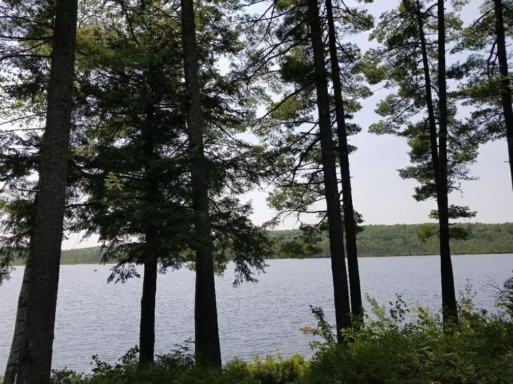 113 North Pond Road Chesterville, ME 04938 - Photo 16 of 35 20180806_134404_resized