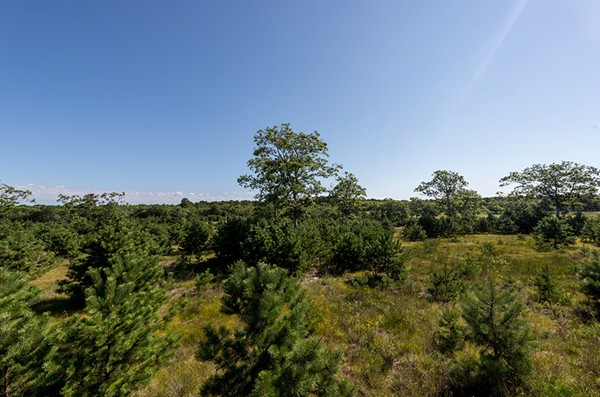 48 Paddock Road Rutland, MA 01543 - Photo 8 of 8 a view of a field of grass and trees