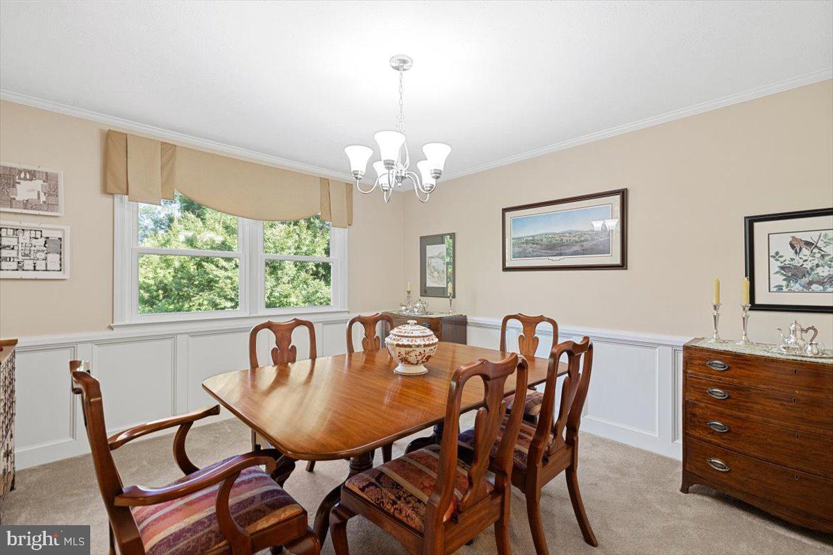 307 Ridge Avenue Winchester, VA 22601 - Photo 13 of 40 Gallery Image 13