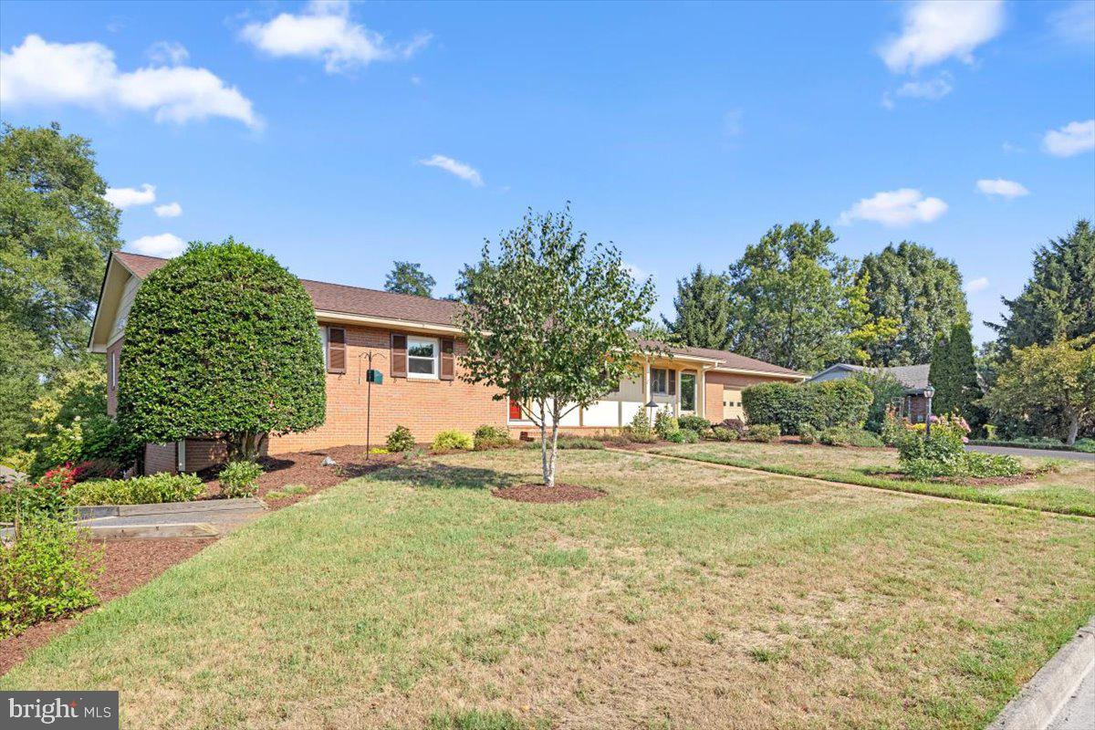 307 Ridge Avenue Winchester, VA 22601 - Photo 3 of 40 Gallery Image 3